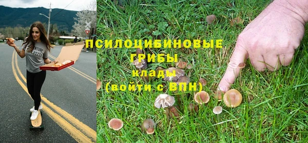 ALPHA-PVP Богданович