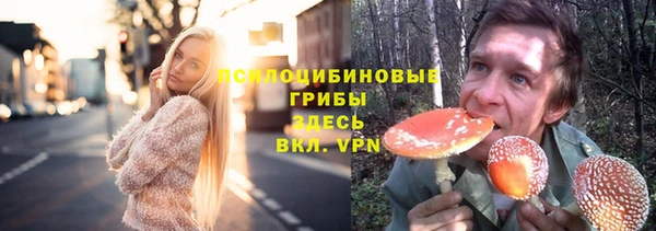 соль курить ск Богородск